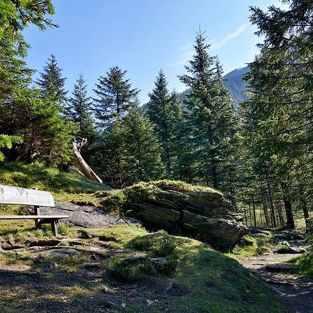 Ferienwohnung Innerhofer Hollersbach im Pinzgau Luaran gambar