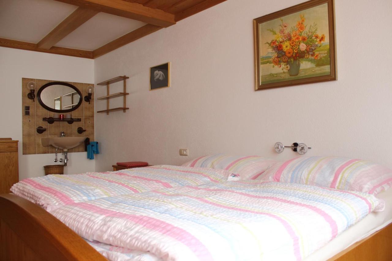 Ferienwohnung Innerhofer Hollersbach im Pinzgau Luaran gambar