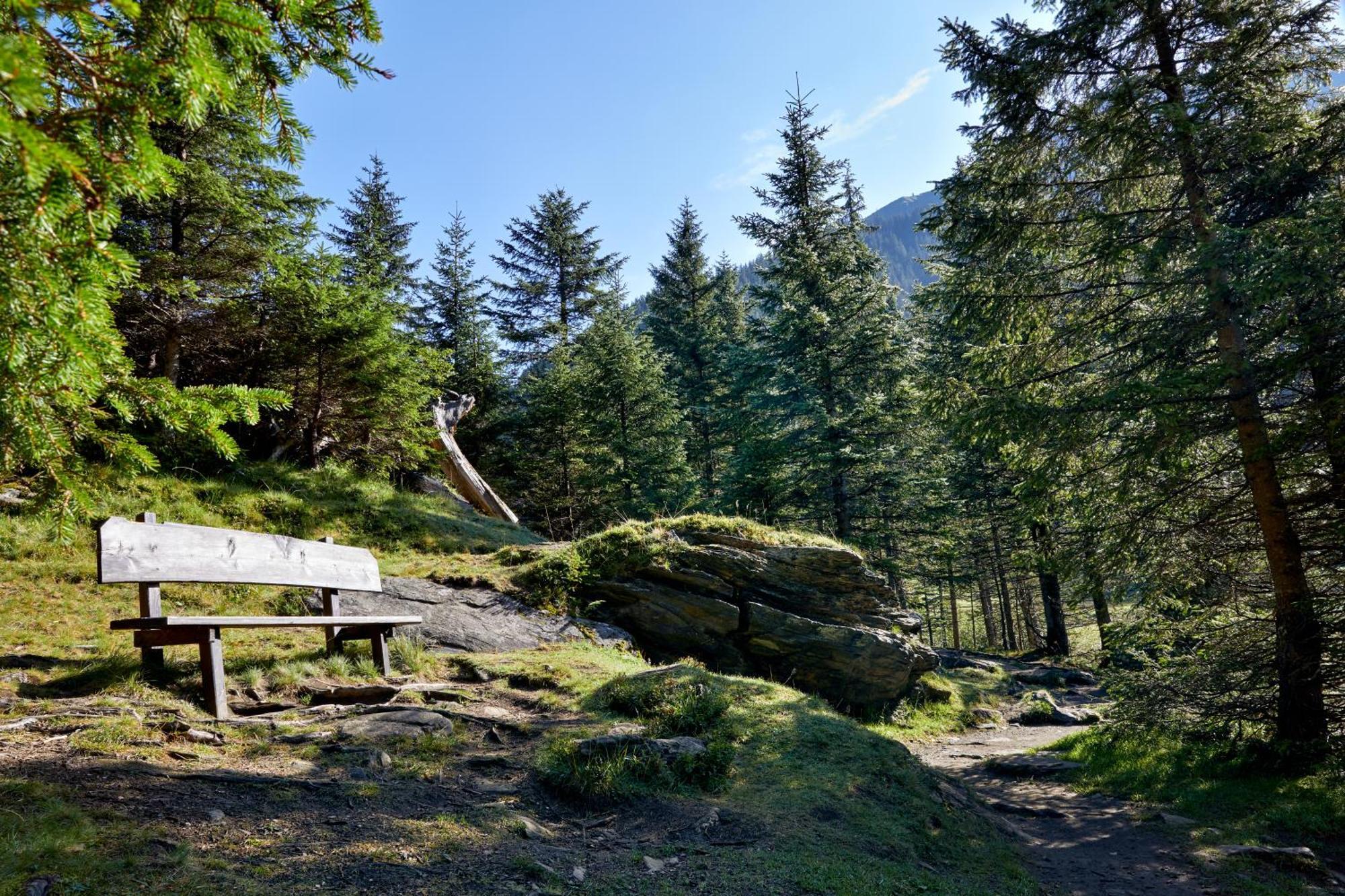 Ferienwohnung Innerhofer Hollersbach im Pinzgau Luaran gambar