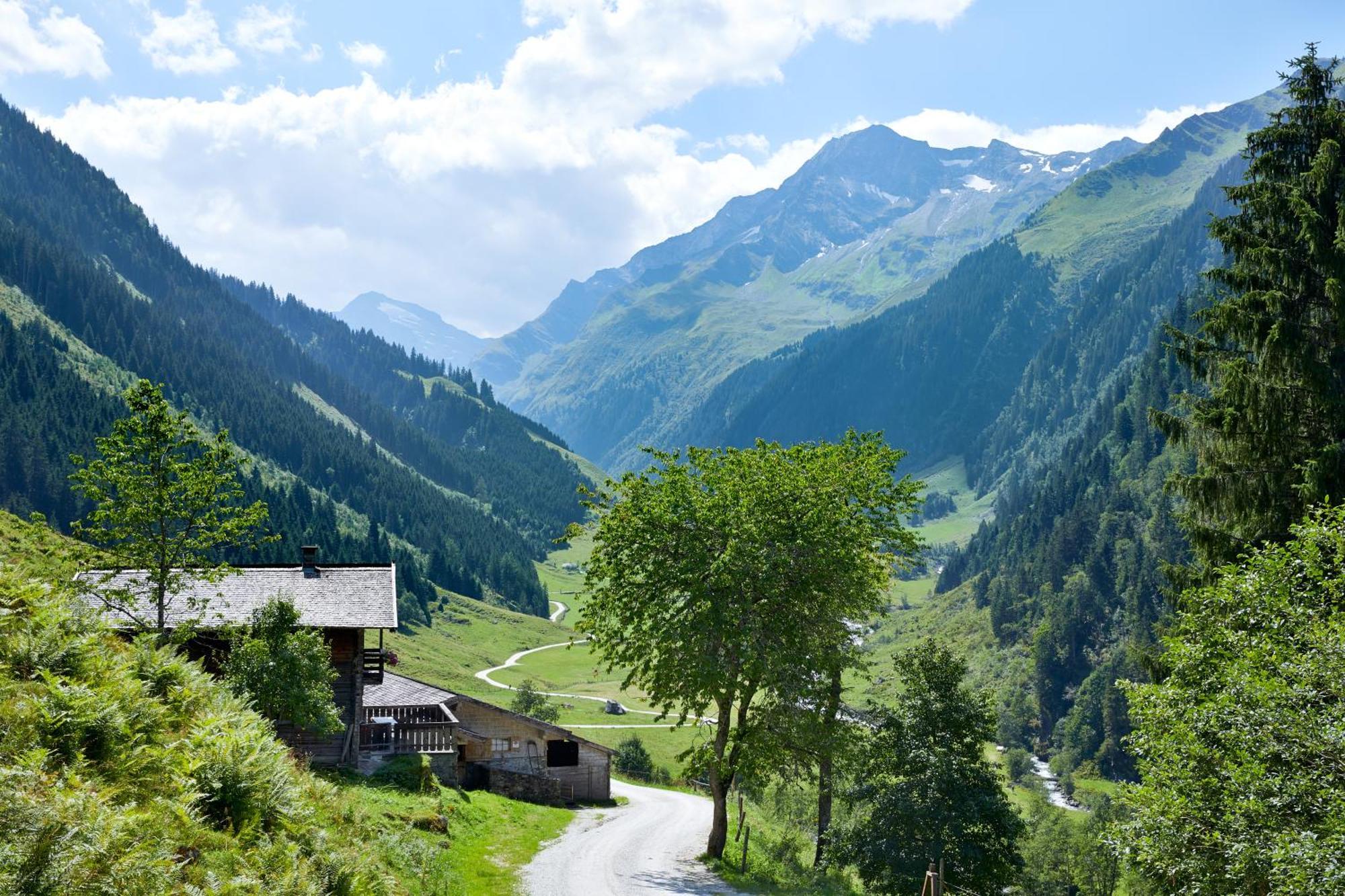 Ferienwohnung Innerhofer Hollersbach im Pinzgau Luaran gambar